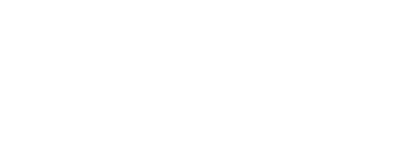 Noblis Wealth