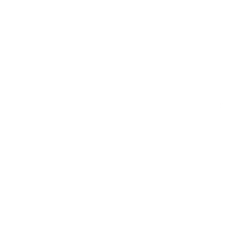 iRobot