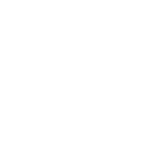 Walt Disney Company